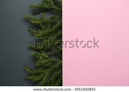 Two layers of gray and pink blank. Two levels background. Green branches of spruce on gray background. Mockup for Christmas or New Year labels