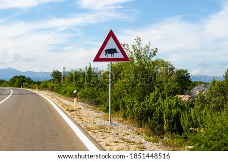 A Wild Pig Sign On The Road