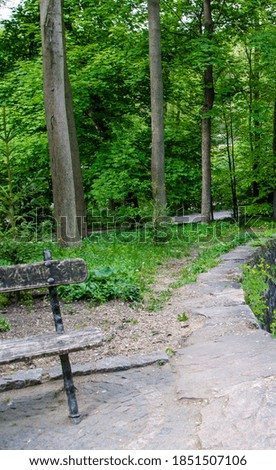 Pathway through a green park, springtime 