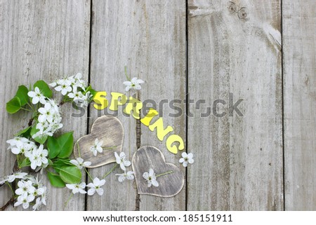 Pear tree blossoms and hearts border wood background