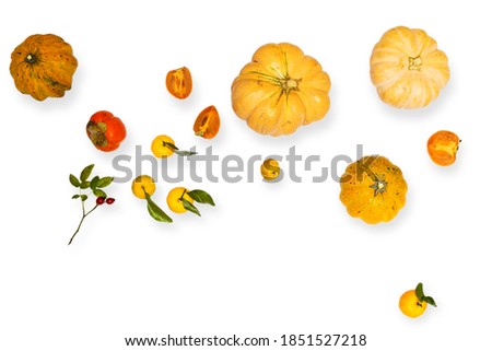 rose hips and yellow fruits and vegetables: pumpkin, japanese quince, tangerine, persimmon, slice, lemon, orange on a white background. Flat lay, top view. minimal concept. Square frame. Copy space