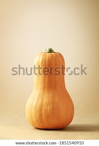 Honey pumpkin on beige background with a copy of space. 