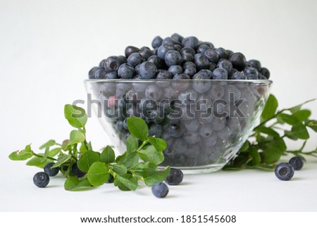 Fresh Blueberries in a bowl on white background. Juicy wild forest berries, bilberries. Healthy eating or nutrition.