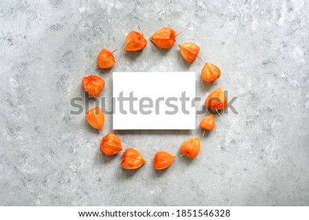 Blank white paper card mock up and round frame dried fruits Physalis. Winter wedding invitation card. Template for your design. Top view, flat lay