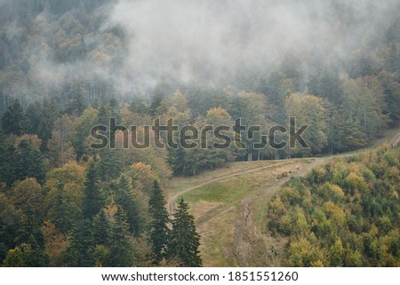 Mountain trail in the mist in an autumn day with colorful trees