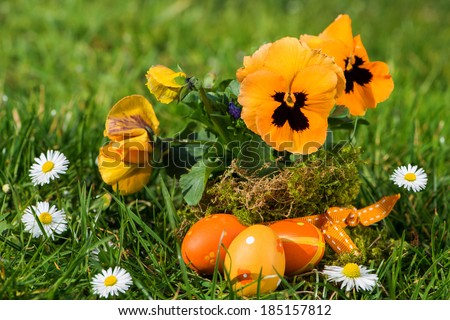 Pansy and nest with quail eggs