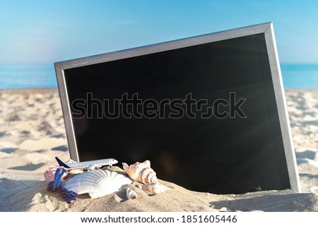 Sea background. Globe, seashell, airplane and starfish near black desk on sea beach in sunny day. Exotic tropical beach with copy space.