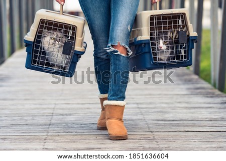 Woman transporting her cat's in a special plastic cage or pet travel carrier to a veterinary clinic Royalty-Free Stock Photo #1851636604