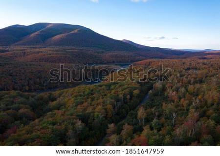 Aerial view of the forest and road in autumn. Landscape.