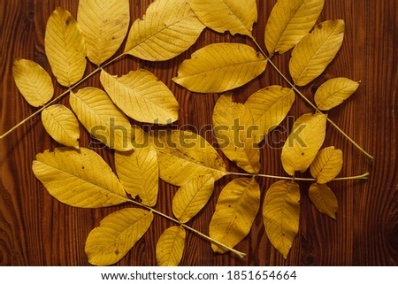 Yellow autumn leaves on wooden background. Composition with autumn leaves. Autumn leaves bouquet.