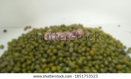 blurred photo of peanuts in the middle of mung beans