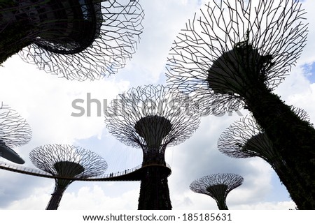 Silhouette  of The Supertree Grove at Gardens by the Bay, Singapore. 