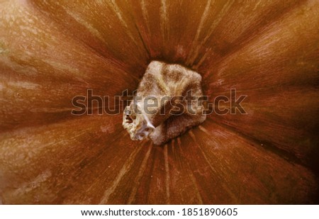 Close up of a texture of pumpkins