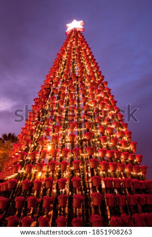 Christmas tree with lights in the Plaza of Arequipa, Peru