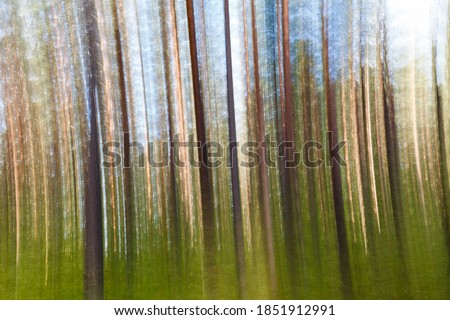 Trees in the pine forest photographed with a vertical camera movement. Long exposure.