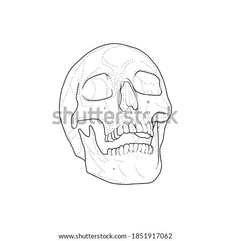 Skull stencil, tattoo design hand draw vector illustration