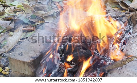 
bonfire from branches burning in nature in autumn