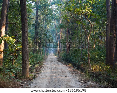 Road through sal forest in Bardia National Park, Nepal Royalty-Free Stock Photo #185195198