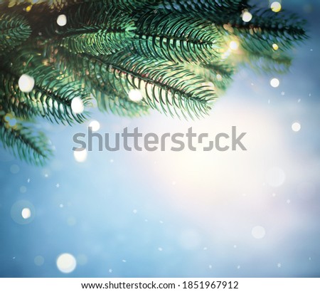 Christmas lights and pine branches and snow. Winter. Christmas. Secret. Blue festive winter background.