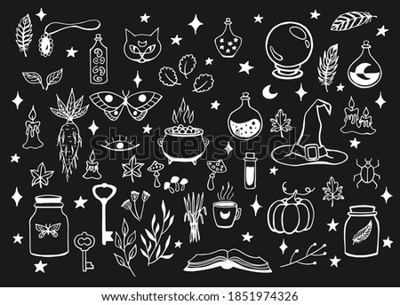 Witchcraft, magic background for witches and wizards. Hand drawn magic tools, concept of witchcraft. Drawn magic tools: book, candles, potions, cauldron, cat, hat, balloon, Mandrake.