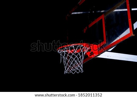 backyard basketball hoop on a dark background of trees