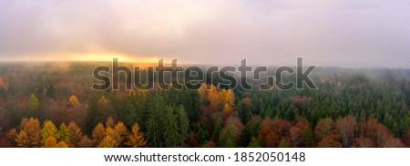 Fog over a autumn colored forest at the autumn season, a panoramic mystical view at the sunset shot by a drone.