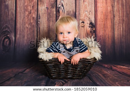 One year old blond baby boy sitting in basket in front of wooden background in studio. Child studio photography.
