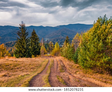 Picturesque evening view of outskirts of popular tourist resort - Yaremche. beautiful autumn scene of Carpathian mountains. Traveling concept background. Landscape photography.
