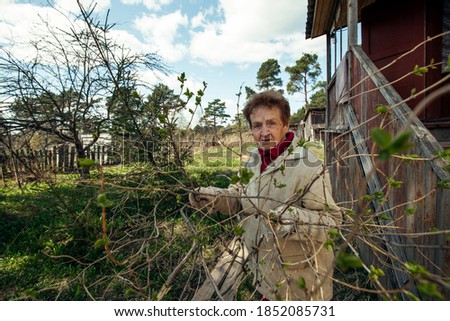  Old woman takes away her branches near the house.