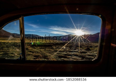 View from the window of a car beetle