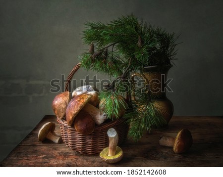 Still life with basket of mushrooms and pine branches