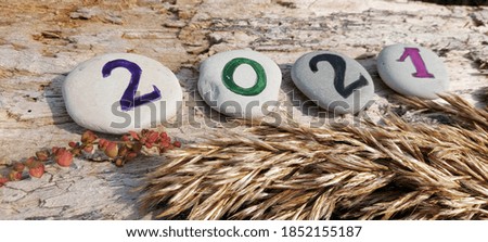 Year of the bull. Numbers 2021 on sea stones on a wooden background.