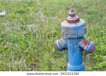 Old rusty blue fire hydrant in front of the grass.