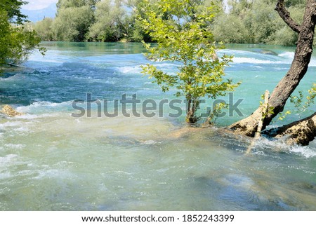 River,  against the backdrop of beautiful green trees. Wildlife landscape concept. Sunny view of the rivers.