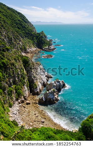 A vertical shot of the blue sea from the Abel Tasman Track, New Zealand