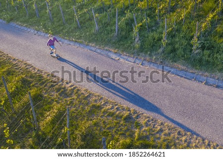 An aerial shot of a young European man skateboarding on a paved road going through a vineyard