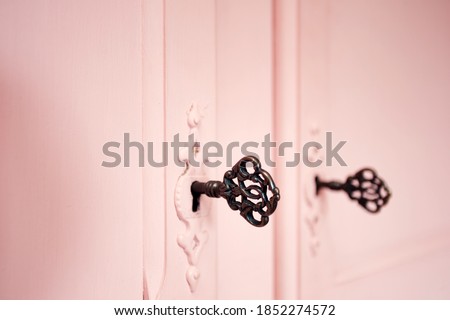 Pink vintage antique doors with old skeleton keys in lock wooden background texture, retro design close-up Royalty-Free Stock Photo #1852274572
