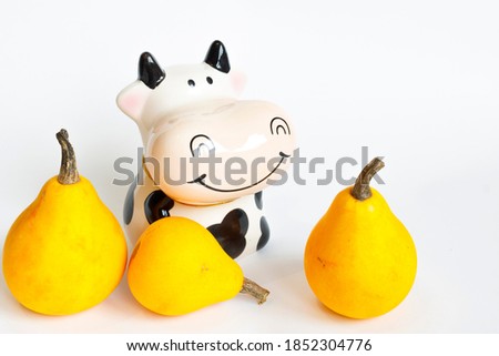 Three decorative orange pumpkins in the shape of a pear and a piggy Bank in the shape of a cow in white and black on a white background. Harvest pumpkins.Farm. Hello autumn harvesting. Texture 