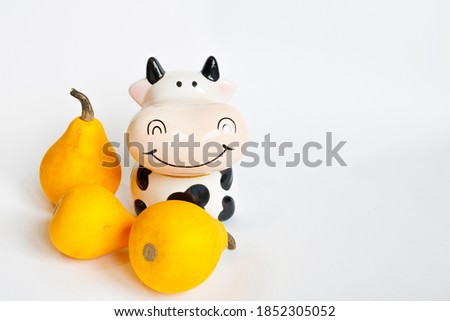 Three decorative orange pumpkins in the shape of a pear and a piggy Bank in the shape of a cow in white and black on a white background. Harvest pumpkins.Farm. Hello autumn harvesting. Texture 
