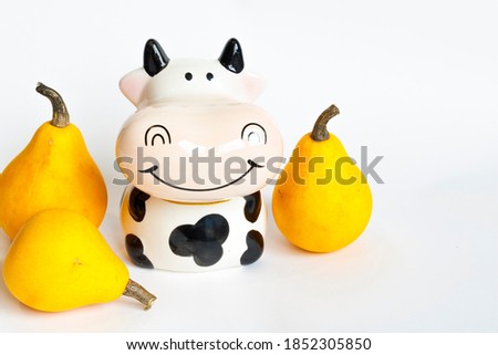 Three decorative orange pumpkins in the shape of a pear and a piggy Bank in the shape of a cow in white and black on a white background. Harvest pumpkins.Farm. Hello autumn harvesting. Texture and bac