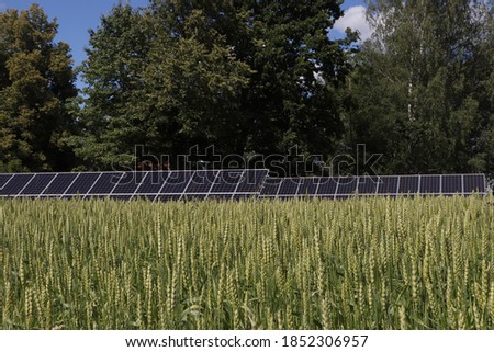 Solar panels on a background of blue sky and wheat field. Summer sunny day. Renewable alternative energy concept.
