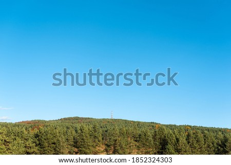 Autumn landscape green warm orange forest with clear blue sky on sunny day