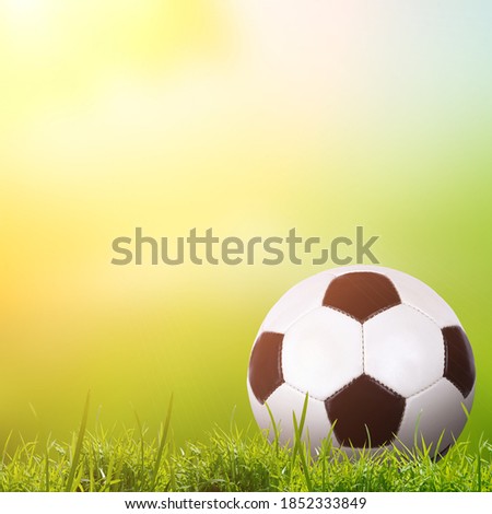 A black and white soccer ball on a green grass with colorful blurred nature background and sunlight