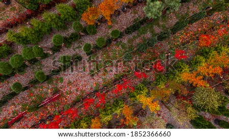 Abstract landscape, Aerial view of colorful fields, Orchard and flowers from above. Autumn time