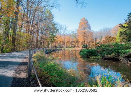 a nice path on side of a pond in autumn