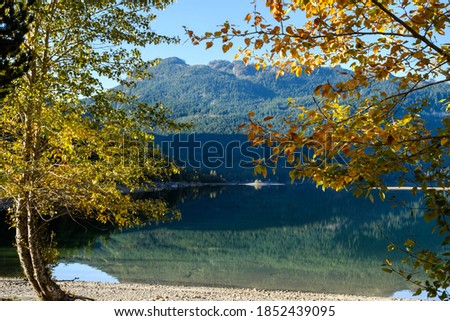 Calm mirror like lake with fall foliage  