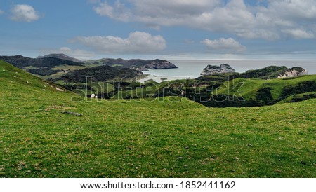 Panoramic landscape of lookout above the hills with some sheep in Wharariki Beach, New Zealand.