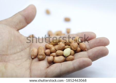  Dried peanuts on hand  Above a white background  , Free space, copy space
