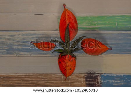 Red autumn leafs with shadows on color wooden table