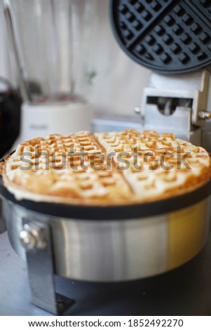 The photo of the waffle still hot just coming out of the grill was very appetizing